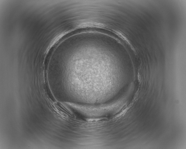 X0000052640877200507082003