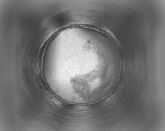 X0000052640878200507082003