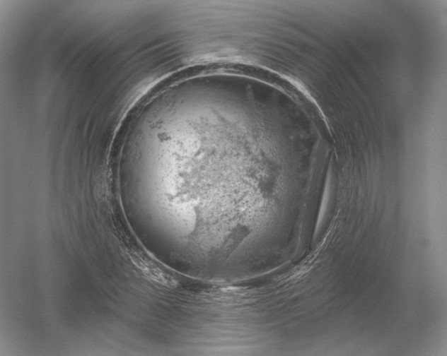 X0000052640879200507082003