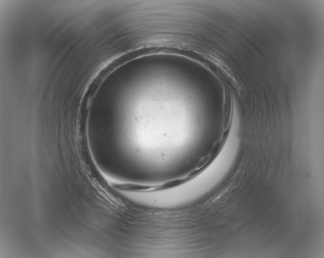 X0000052640880200507082003