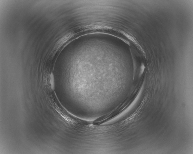 X0000052640881200507082003