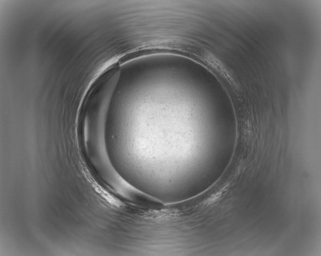 X0000052640884200507082002