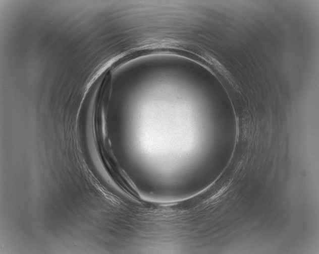 X0000052640885200507082002