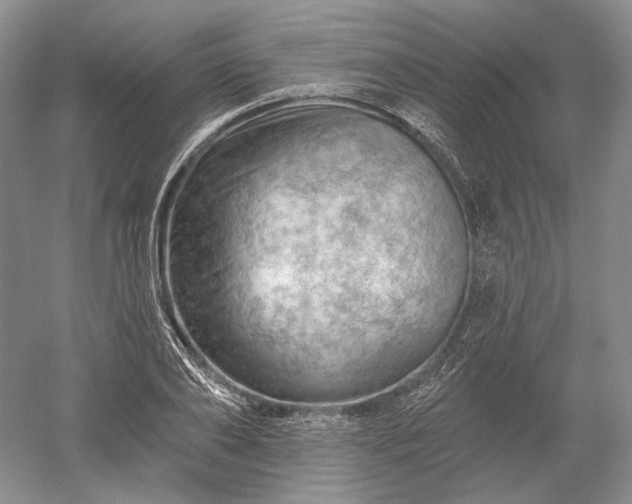 X0000052640886200507082002