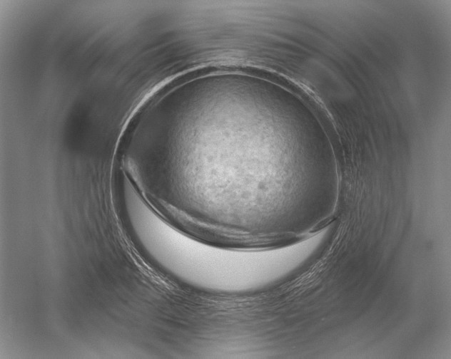 X0000052640887200507082002