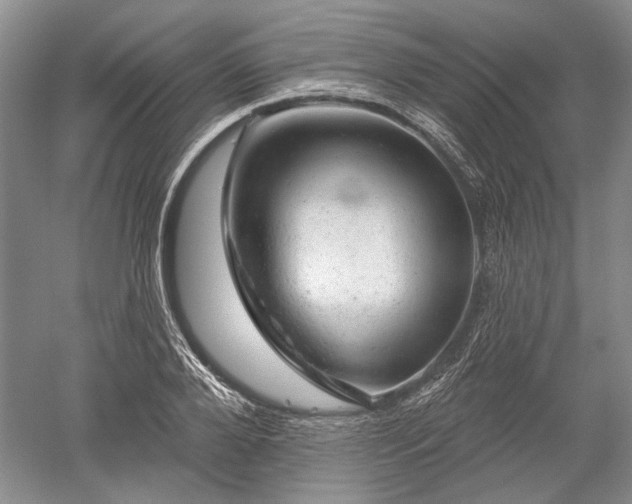 X0000052640888200507082002