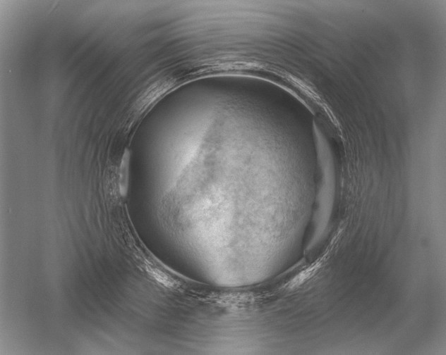 X0000052640889200507082002