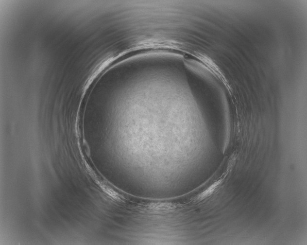 X0000052640893200507082002