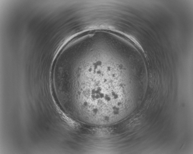 X0000052640895200507082002