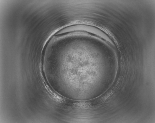 X0000052640896200507082002