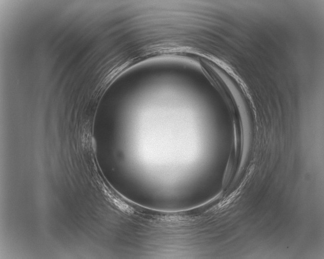 X0000052640897200507082002