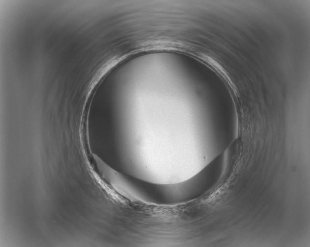 X0000052640901200507082002