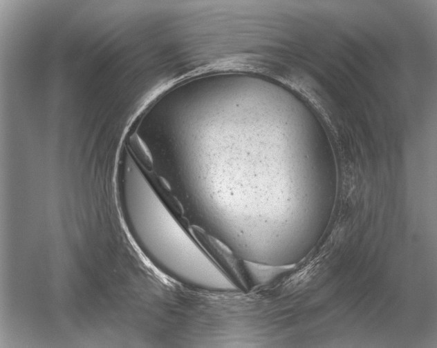 X0000052640902200507082002