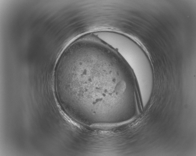 X0000052640903200507082002