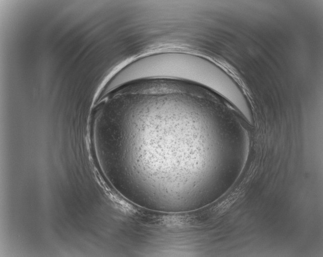 X0000052640904200507082002