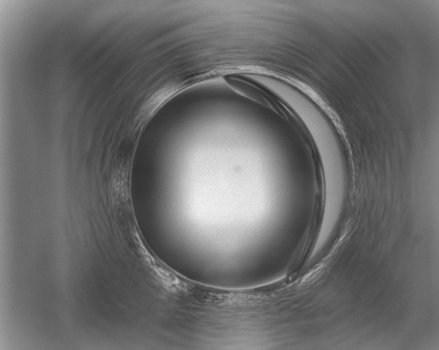 X0000052640905200507082002