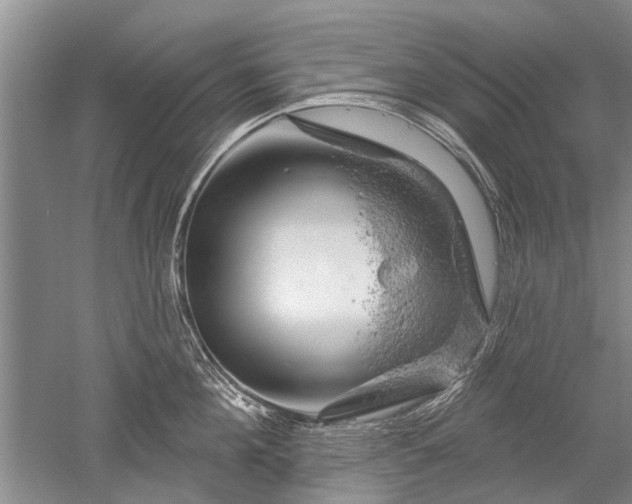 X0000052640908200507082002