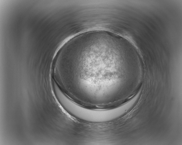 X0000052640910200507082002