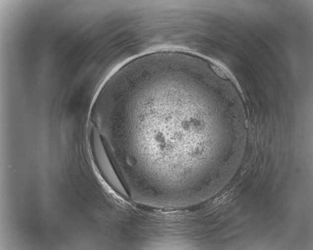 X0000052640911200507082002