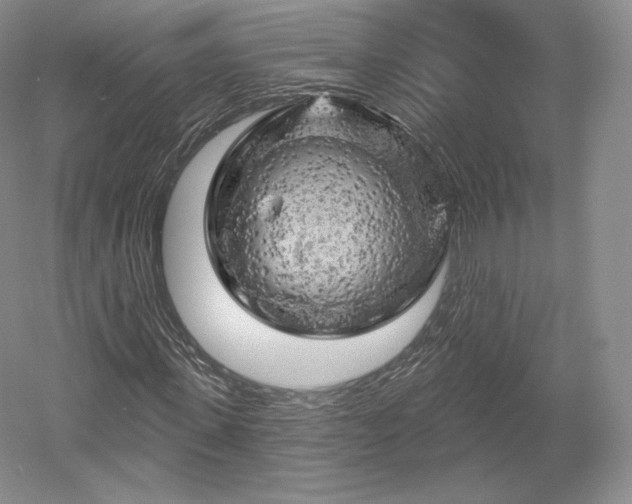 X0000052640915200507082001