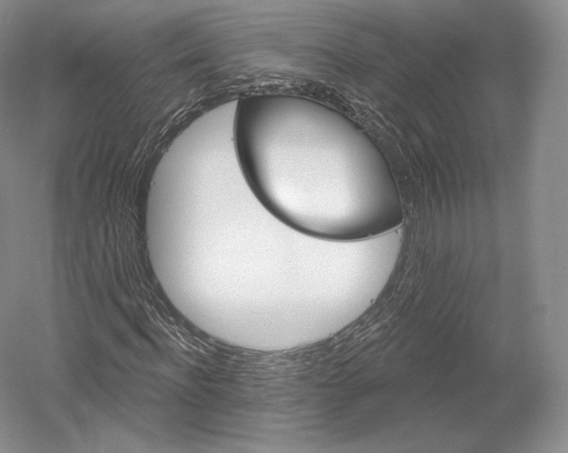 X0000052640916200507082001