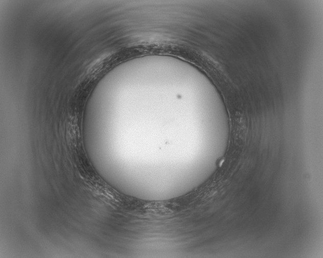 X0000052640918200507082001