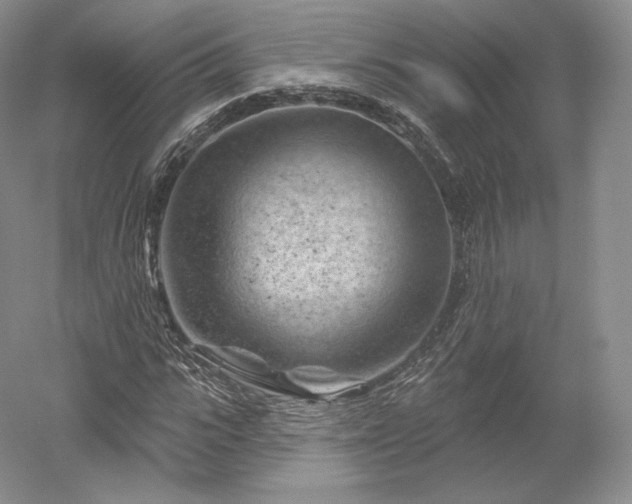 X0000052640919200507082001