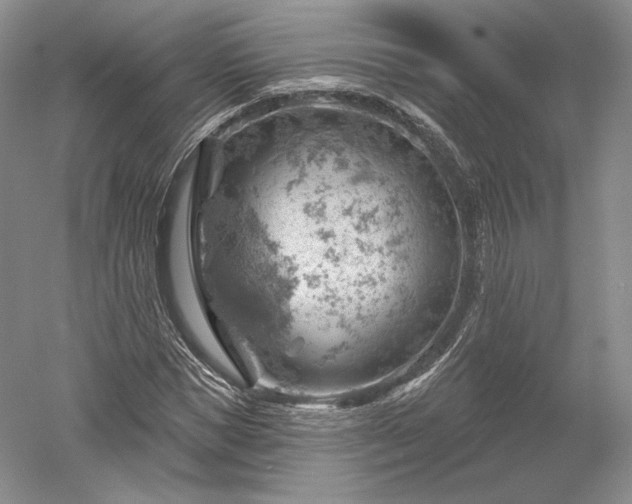 X0000052640921200507082001