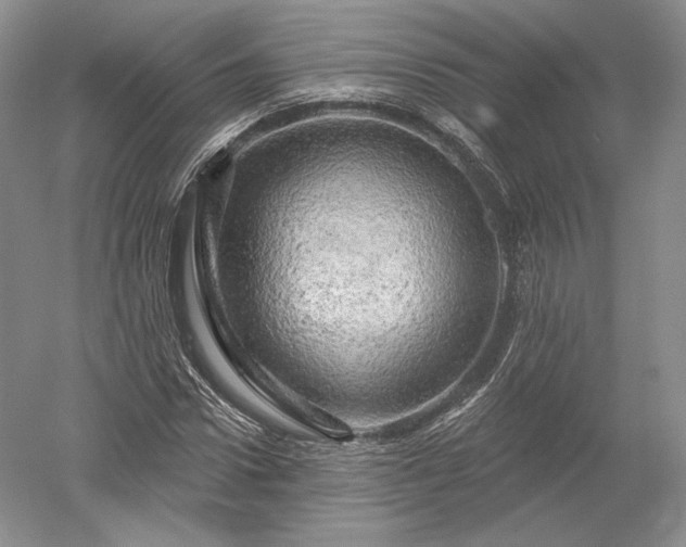 X0000052640922200507082001