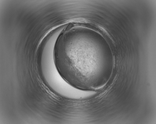 X0000052640923200507082001