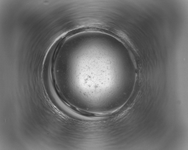 X0000052640924200507082001