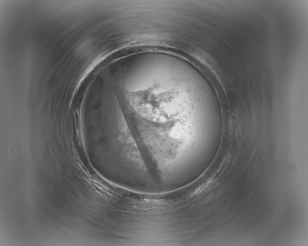 X0000052640925200507082001