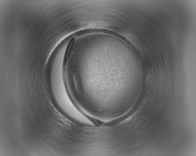 X0000052640926200507082001