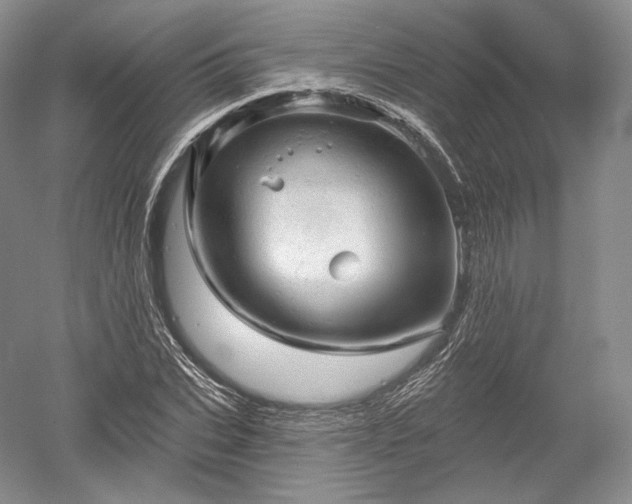 X0000052640927200507082001