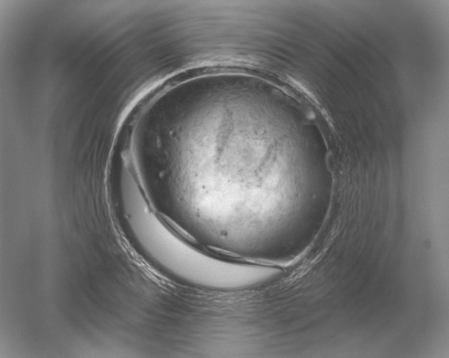 X0000052640928200507082001