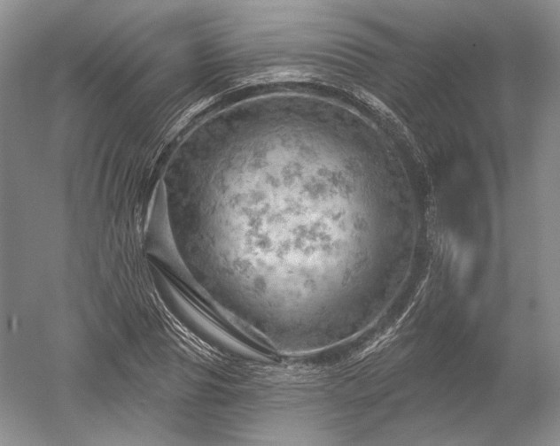 X0000052640929200507082001