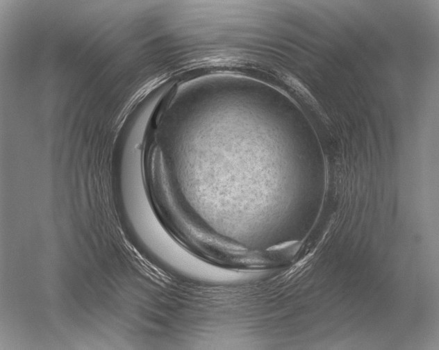 X0000052640930200507082001