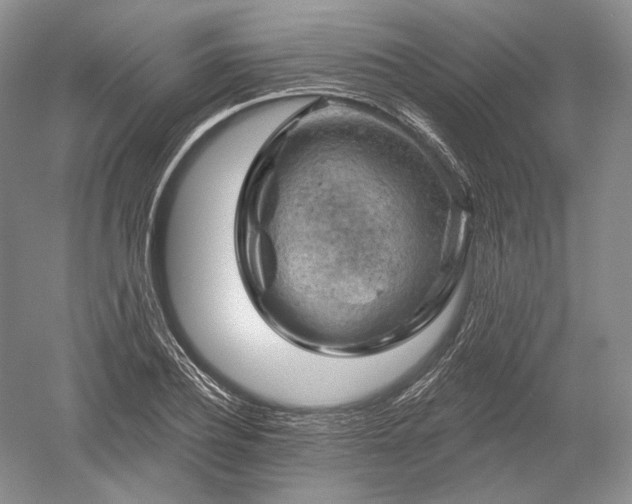 X0000052640932200507082002