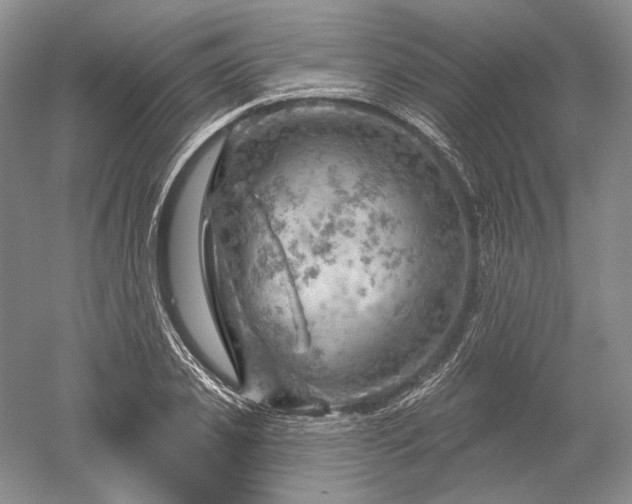 X0000052640933200507082002