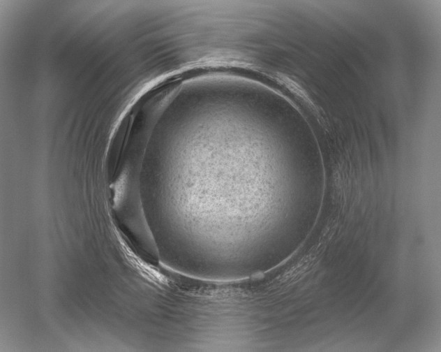 X0000052640934200507082002