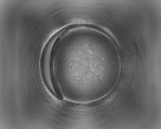 X0000052640935200507082002