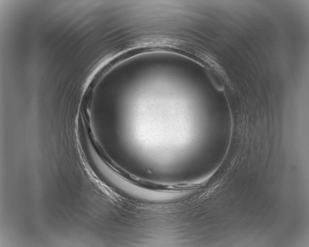 X0000052640936200507082002