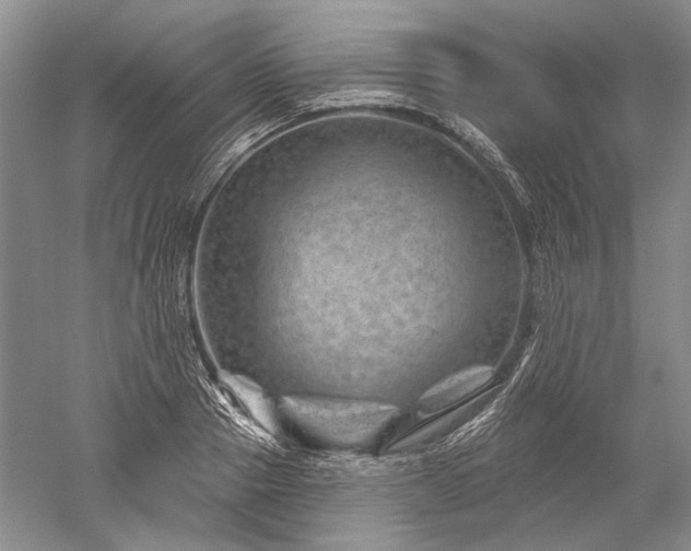 X0000052640937200507082002