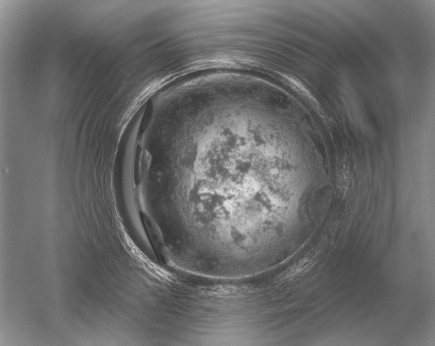 X0000052640938200507082002