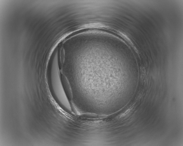 X0000052640939200507082002