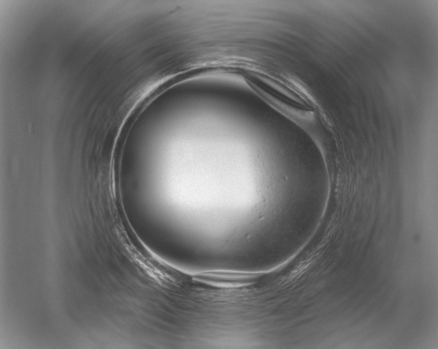 X0000052640940200507082002