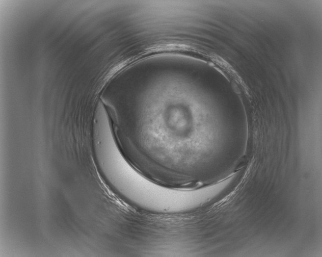 X0000052640945200507082002