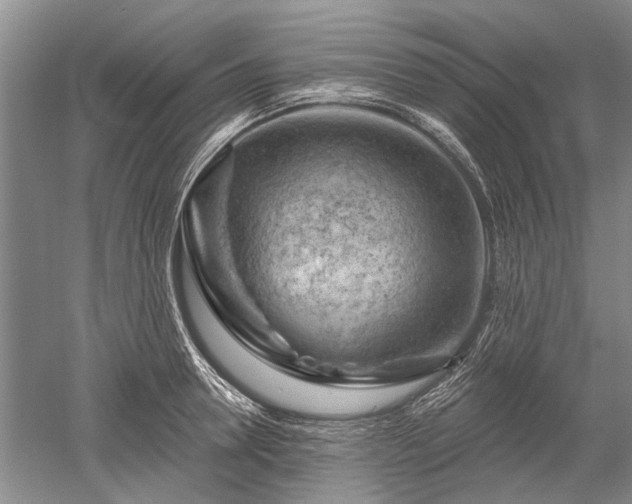 X0000052640946200507082002