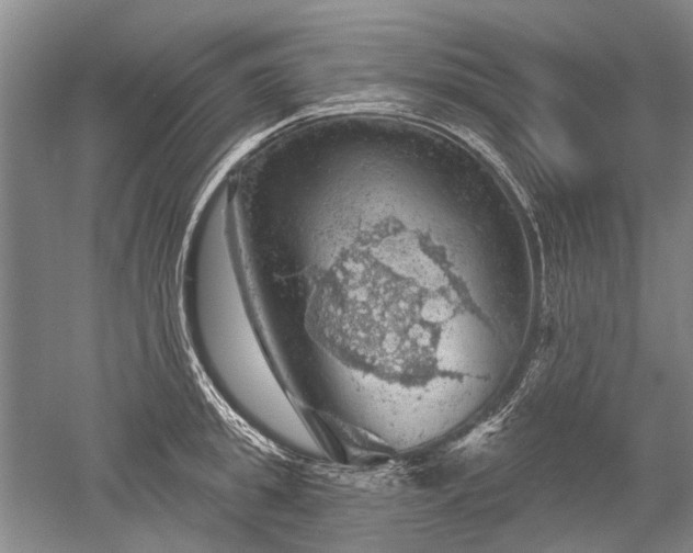 X0000052640949200507082002