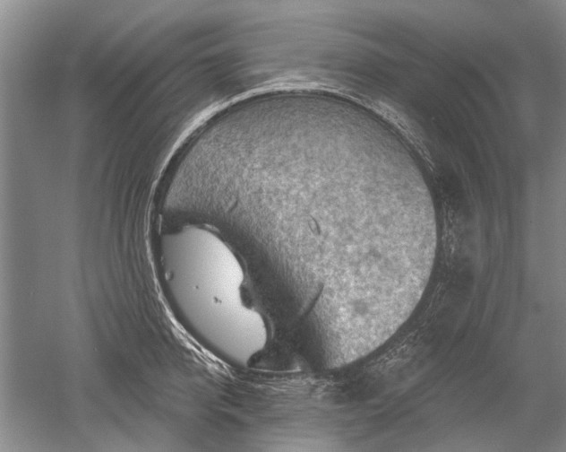 X0000052640950200507082002